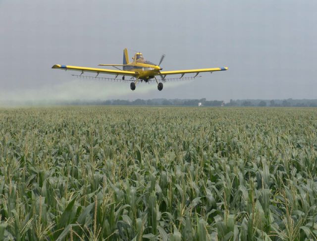 Estudos demonstraram  eficiência da aplicação aérea de fungicidas em baixo-volume nos Estados Unidos .